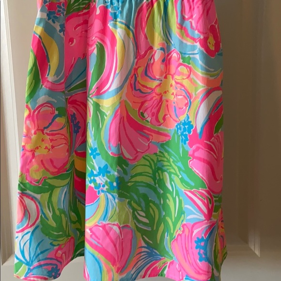 Kids Lilly Pulitzer Dress - Picture 4 of 4